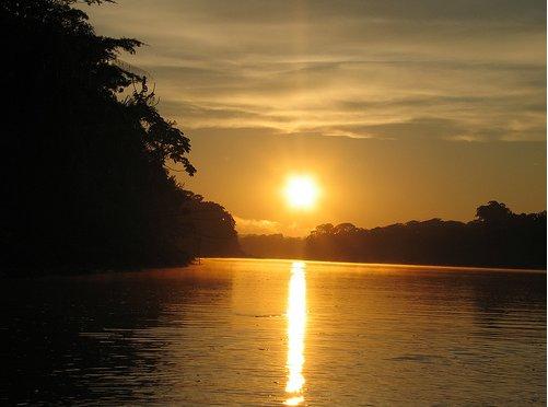 ¿El atardecer de las selvas? ¿El atardecer de las selvas?