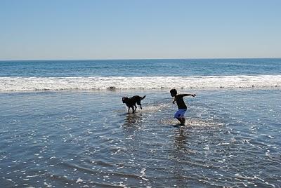 Playa Arauco - Beach summer Arauco Chile