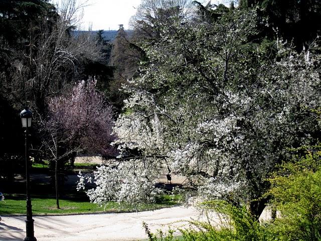 ... spring time ... ... spring time ...