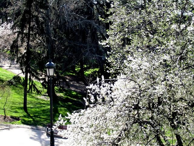 ... spring time ... ... spring time ...