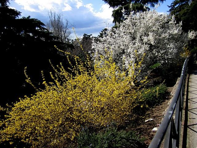 ... spring time ... ... spring time ...