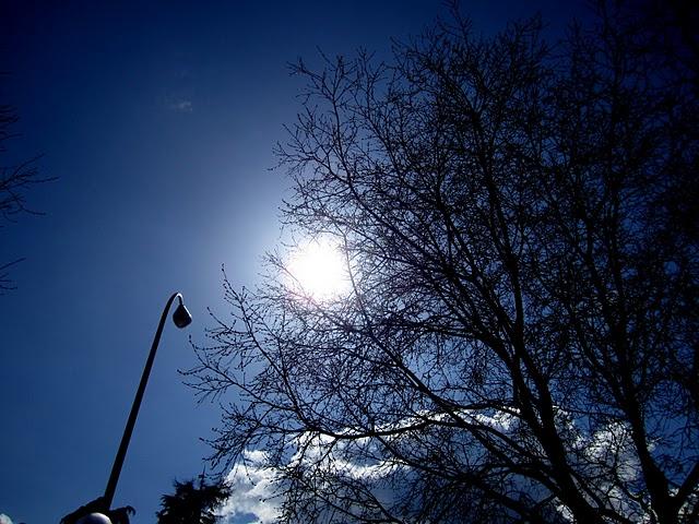 ... spring time ... ... spring time ...