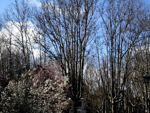 ... spring time ... ... spring time ...