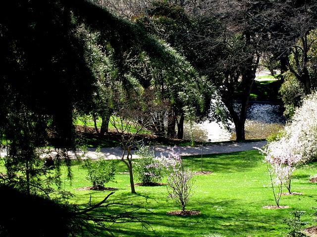 ... spring time ... ... spring time ...