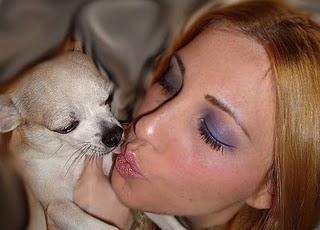 PASO A PASO AZUL / VIOLETA PASO A PASO AZUL / VIOLETA