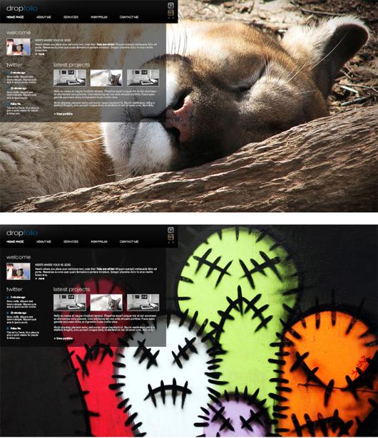 drop-folio Drop Folio Photogallery