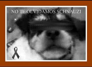 POR EL PEQUEÑO SCHNAUZI Y POR TODOS Y CADA UNO DE LOS ANIMALES QUE HAN SUFRIDO Y SIGUEN SUFRIENDO EL MALTRATO ANIMAL: POR EL PEQUEÑO SCHNAUZI Y POR TODOS Y CADA UNO DE LOS ANIMALES QUE HAN SUFRIDO Y SIGUEN SUFRIENDO EL MALTRATO ANIMAL: