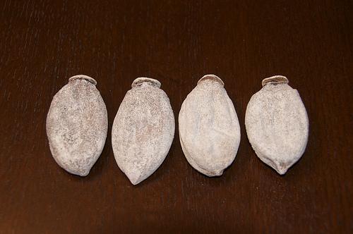 persimon-seco Hoshigaki el arte japonés de secado del persimón