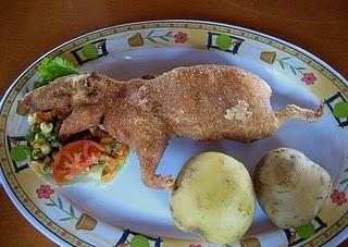 Nuevos descubrimientos Nuevos descubrimientos