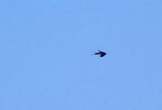 En la playa de Xagó En la playa de Xagó