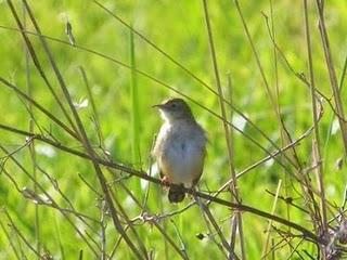 En la playa de Xagó En la playa de Xagó