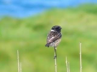 En la playa de Xagó En la playa de Xagó