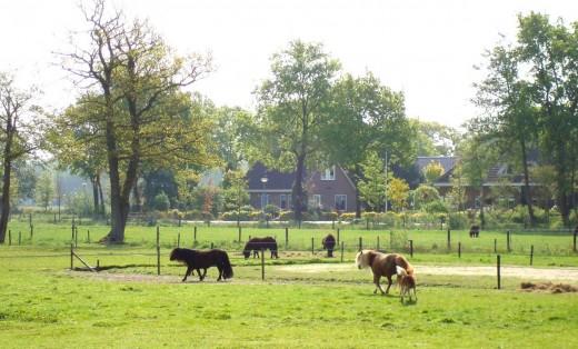 Un pueblo con encanto en Holanda