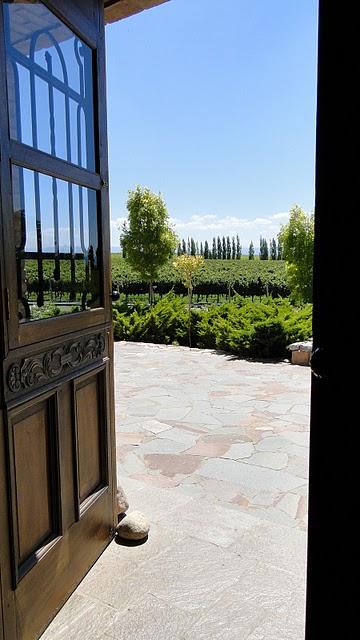 El poder antioxidante de la Uva. El poder antioxidante de la Uva.