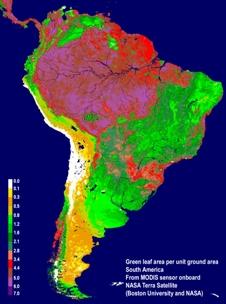 La sequía del Amazonas desde el espacio