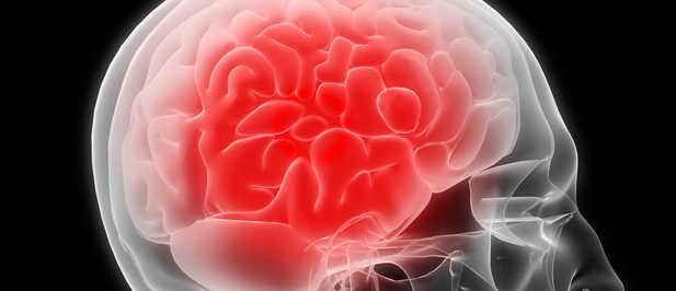 Guía para mantener en forma al cerebro Guía para mantener en forma al cerebro