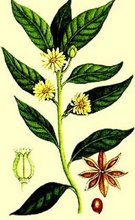 ANÍS PALOMA DE MONFORTE DEL CID ANÍS PALOMA DE MONFORTE DEL CID