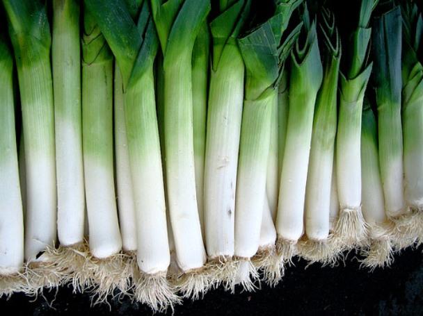 ES TIEMPO..........DE PUERROS.- ES TIEMPO..........DE PUERROS.-