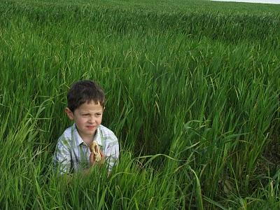 El guardián permanece El guardián permanece