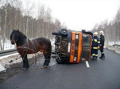 Detenido por conducir borracho un camión que a la vez era tirado por un caballo