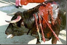 Toro2 Toro2