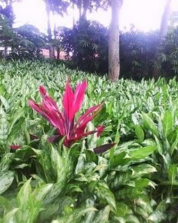 ¿La maternidad y su lado malo? ¿La maternidad y su lado malo?