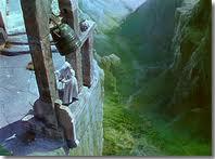 Narciso Negro Narciso Negro