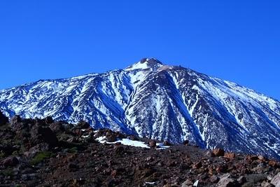 ¿ Qué le dijo el mono a la mona? Mámonos!!! ¿ Qué le dijo el mono a la mona? Mámonos!!!