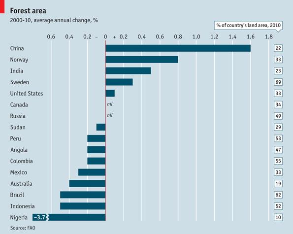 Forest A pesar de todo, en algunos países la extensión de los bosques aumenta (aunque no en México)