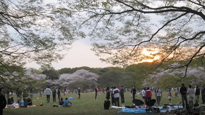 Esa frágil normalidad Esa frágil normalidad