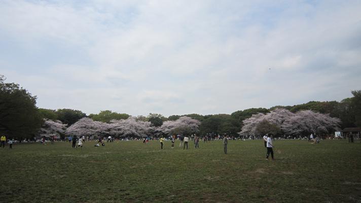 Esa frágil normalidad Esa frágil normalidad