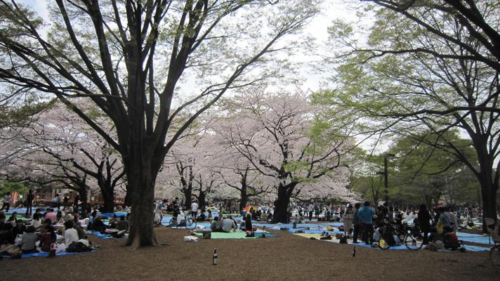 Esa frágil normalidad Esa frágil normalidad