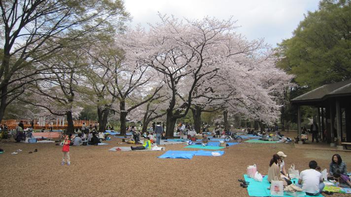 Esa frágil normalidad Esa frágil normalidad