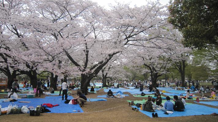 Esa frágil normalidad Esa frágil normalidad