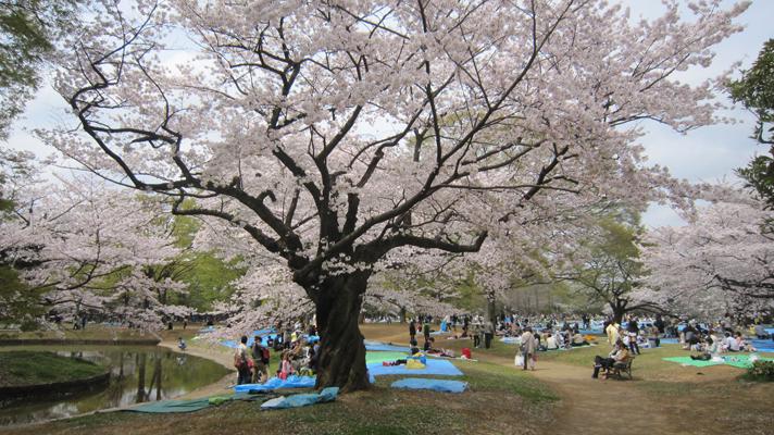 Esa frágil normalidad Esa frágil normalidad