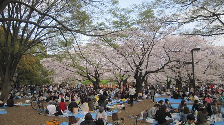 Esa frágil normalidad Esa frágil normalidad