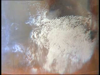 CSI... Huellas botella huellas revelado cianoacrilato