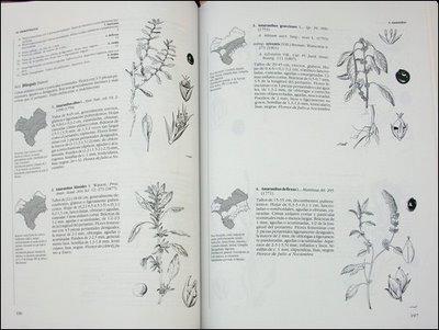 FLORA VASCULAR DE ANDALUCÍA OCCIDENTAL FLORA VASCULAR DE ANDALUCÍA OCCIDENTAL