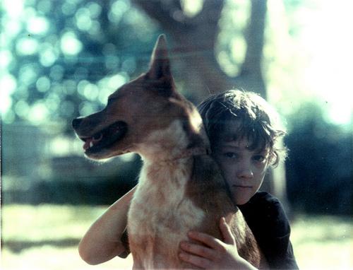 niño-perro ¿Qué hacer frente a una mordedura de perro?