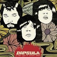 [Disco] Capsula - In the land of silver souls (2011)