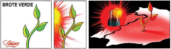 BROTE VERDE PORTUGUÉS BROTE VERDE PORTUGUÉS