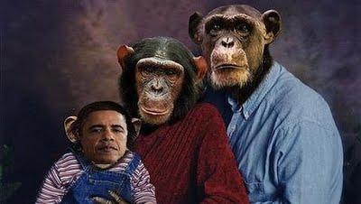 COMPARAN A OBAMA CON UN CHIMPANCÉ