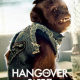 hangover26 hangover26