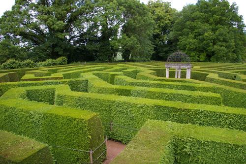 amazing hedge puzzle