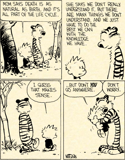 Viñetas para la historia (XI). Calvin & Hobbes. La historia del mapache