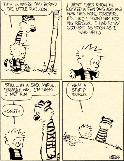 Viñetas para la historia (XI). Calvin & Hobbes. La historia del mapache