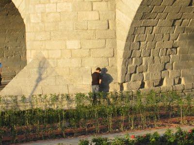 Madrid no es ciudad para viejos Madrid no es ciudad para viejos