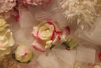 Relax & Nude Relax & Nude