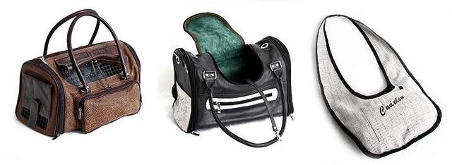 Perros a la última con CADELÍN Perros a la última con CADELÍN