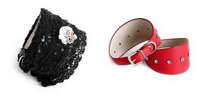 Perros a la última con CADELÍN Perros a la última con CADELÍN